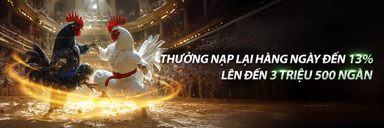 Đấu trường đá gà trực tuyến Thomo999